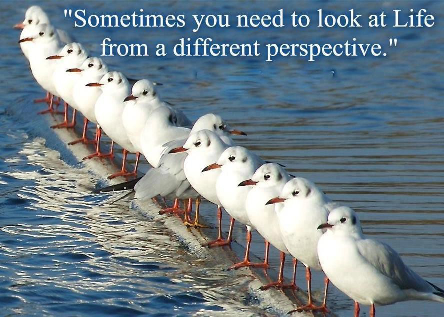 A Matter of Perspectives